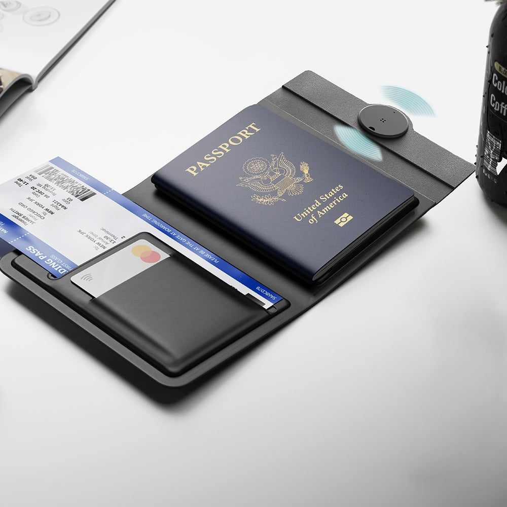 Passport Organizer
