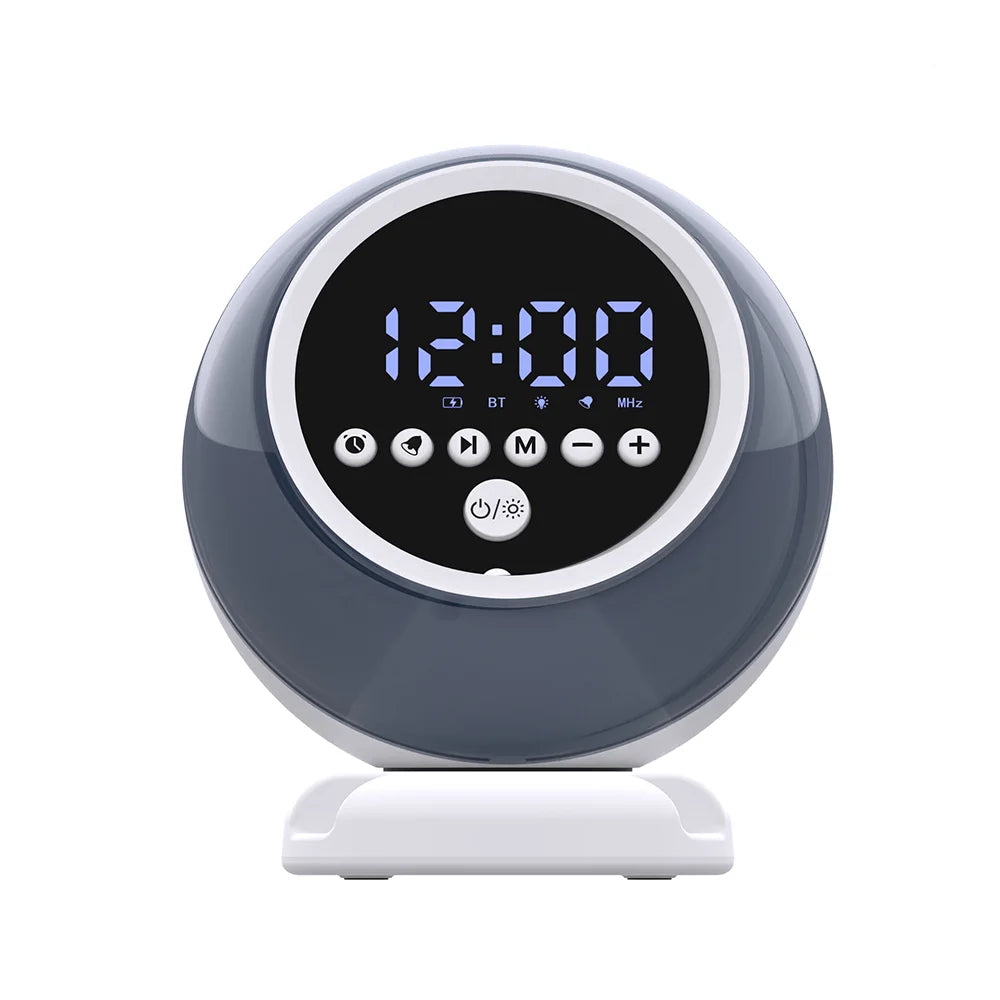 Multifunctional Bluetooth Speaker