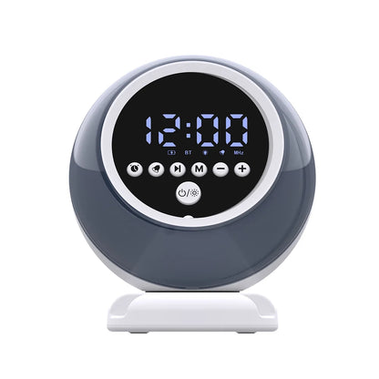 Multifunctional Bluetooth Speaker